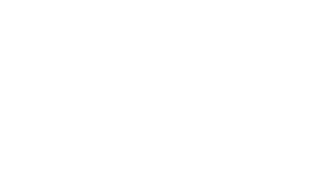 Ico white